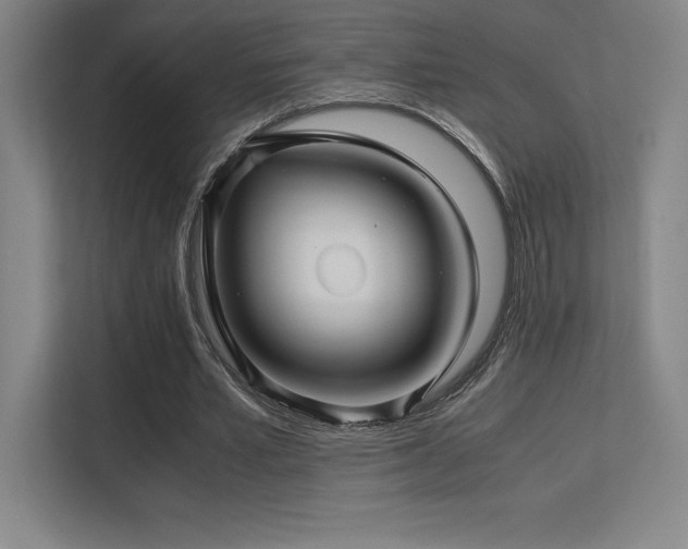 X0000113250581200909101430