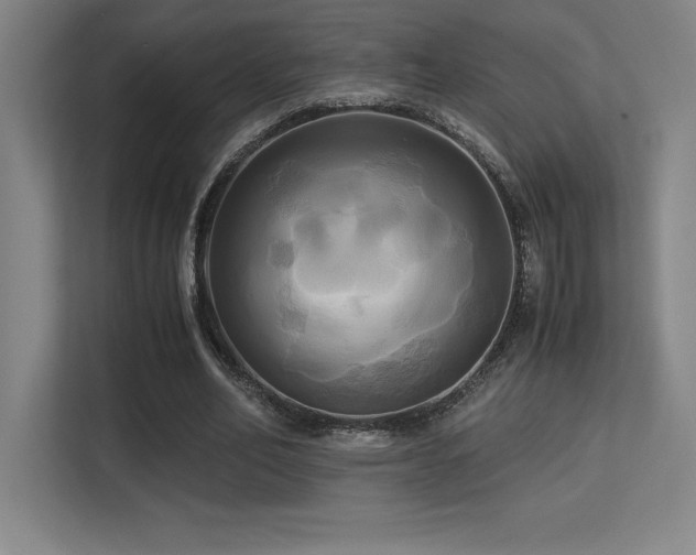X0000113250582200909101430