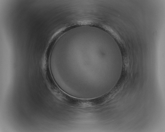 X0000113250583200909101430
