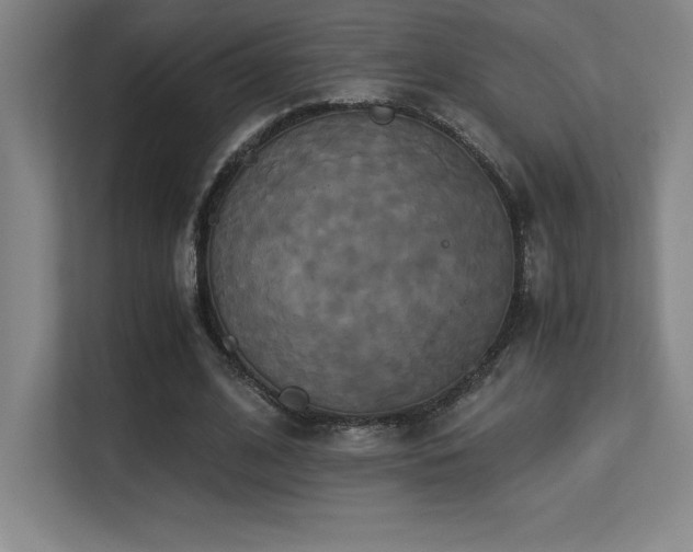 X0000113250584200909101430