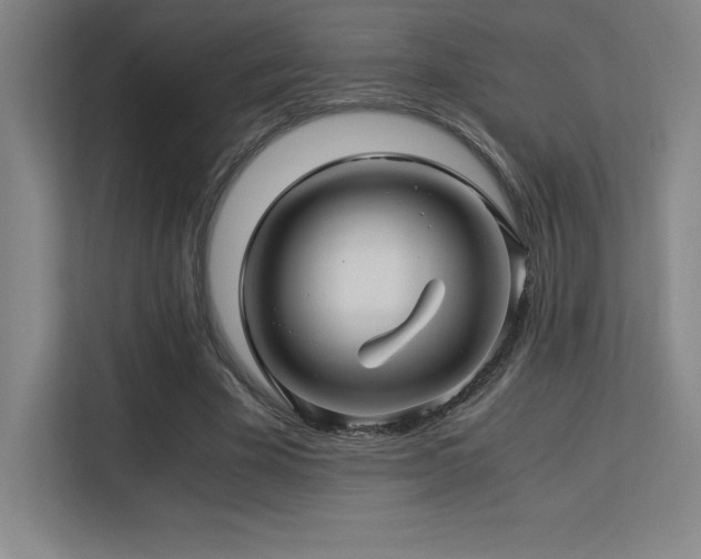 X0000113250585200909101430