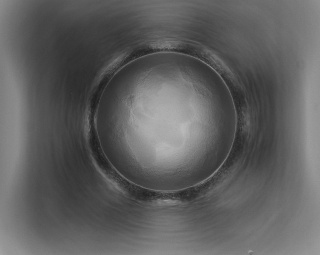 X0000113250586200909101430
