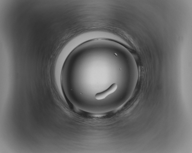 X0000113250589200909101430