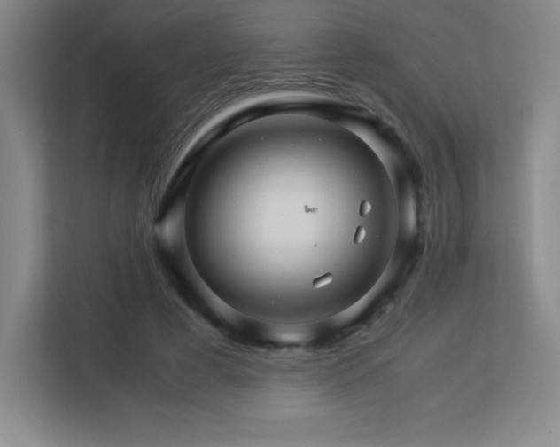 X0000113250593200909101430