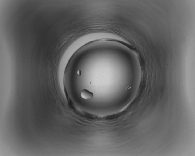 X0000113250595200909101430