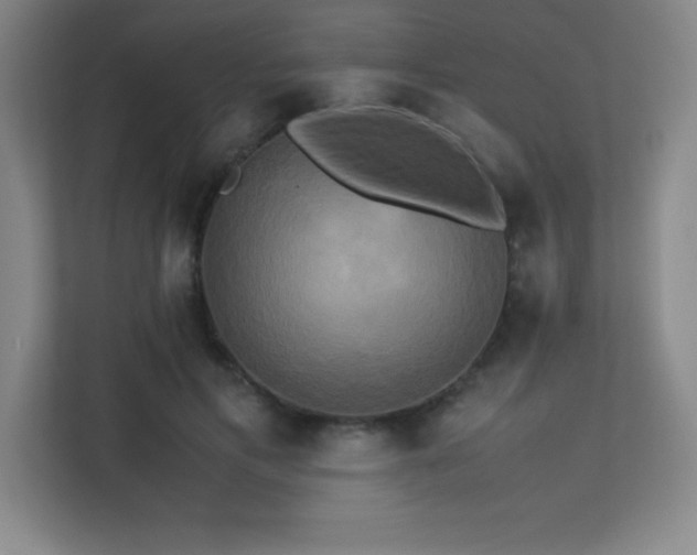 X0000113250597200909101430