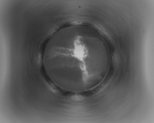 X0000113250598200909101430