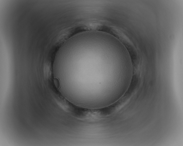 X0000113250599200909101430