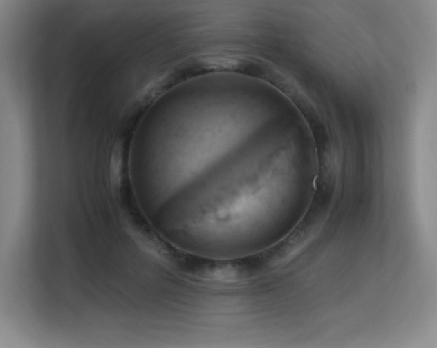 X0000113250600200909101430