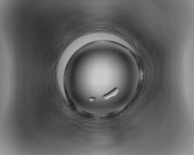 X0000113250601200909101430