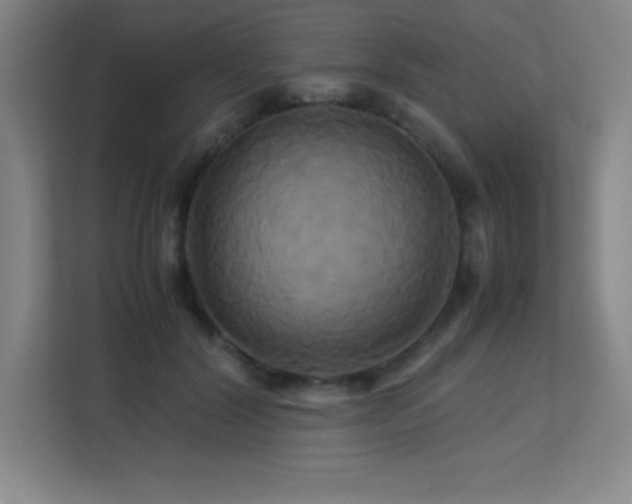 X0000113250604200909101430
