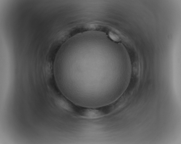 X0000113250605200909101430