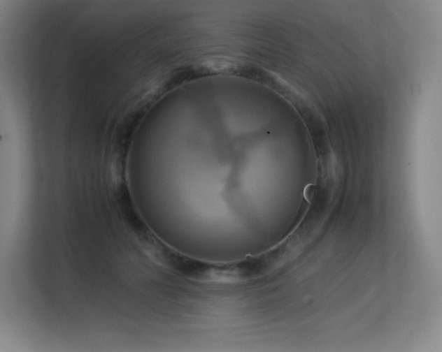 X0000113250606200909101430
