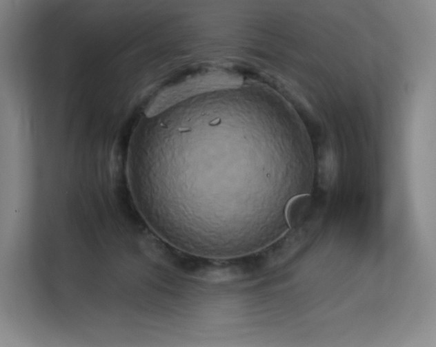 X0000113250608200909101430