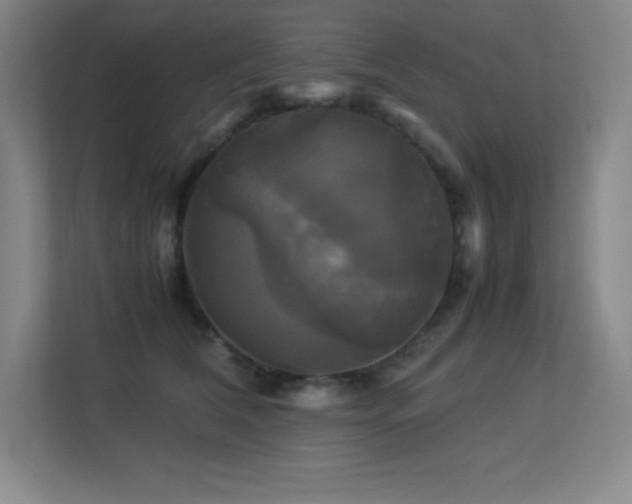 X0000113250612200909101430