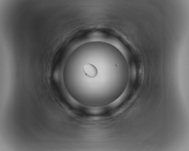 X0000113250613200909101430