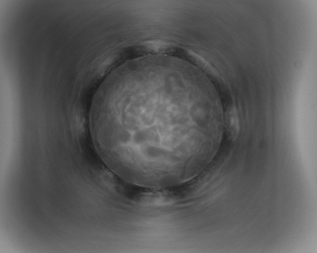 X0000113250615200909101429