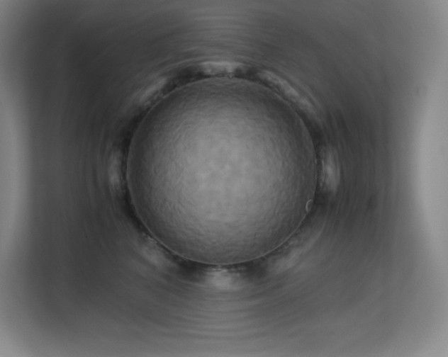 X0000113250616200909101429