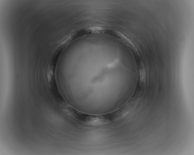 X0000113250618200909101429