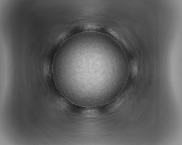 X0000113250619200909101429