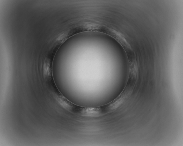 X0000113250622200909101429