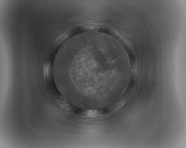 X0000113250623200909101429
