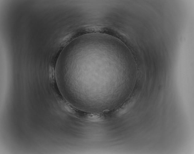 X0000113250624200909101429