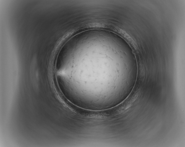 X0000113250625200909101429