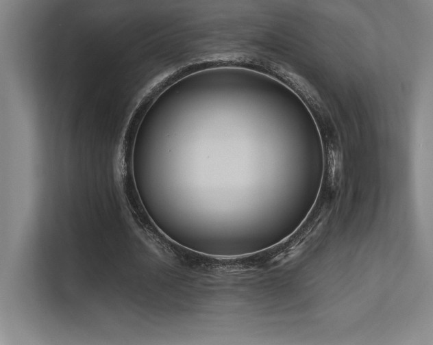 X0000113250628200909101429