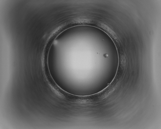 X0000113250629200909101429