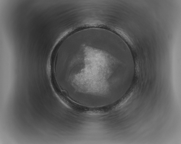 X0000113250630200909101429
