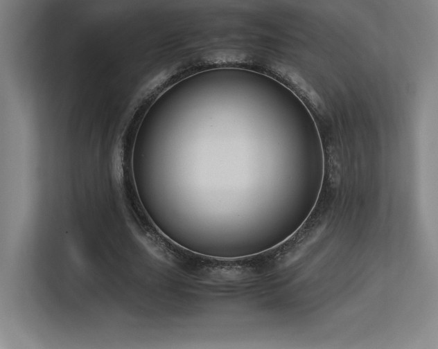 X0000113250631200909101429