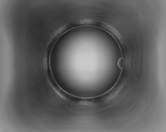 X0000113250633200909101429