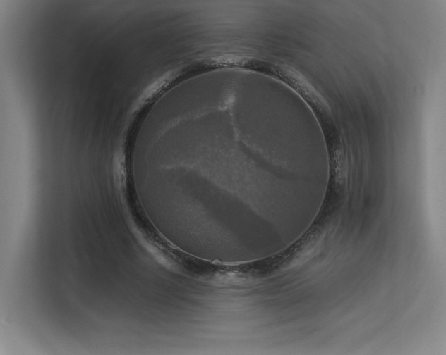 X0000113250634200909101429