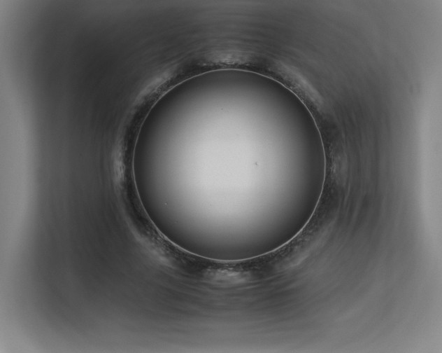 X0000113250635200909101429