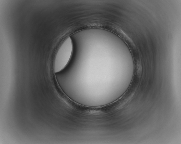 X0000113250637200909101429