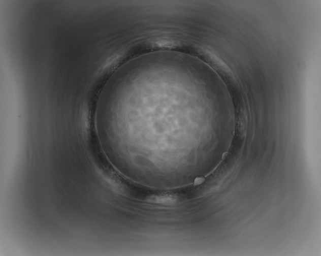 X0000113250639200909101429