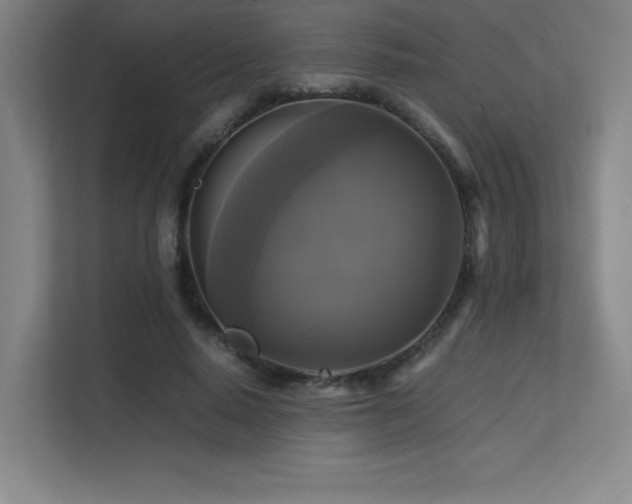 X0000113250640200909101429