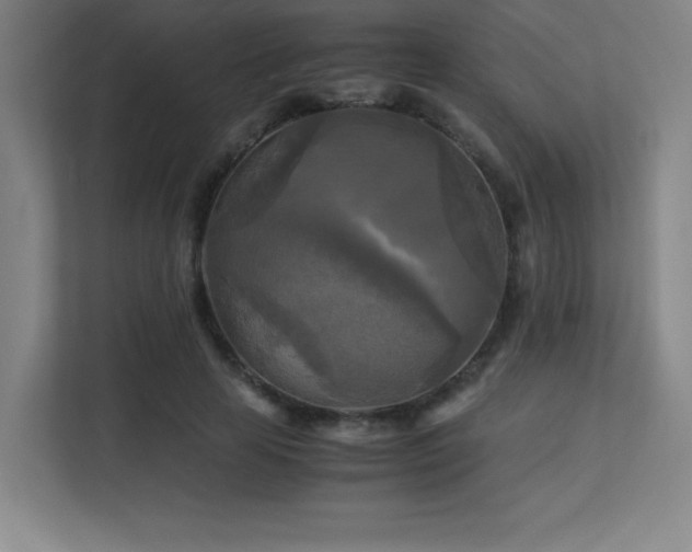 X0000113250641200909101429