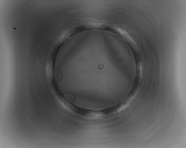 X0000113250642200909101429