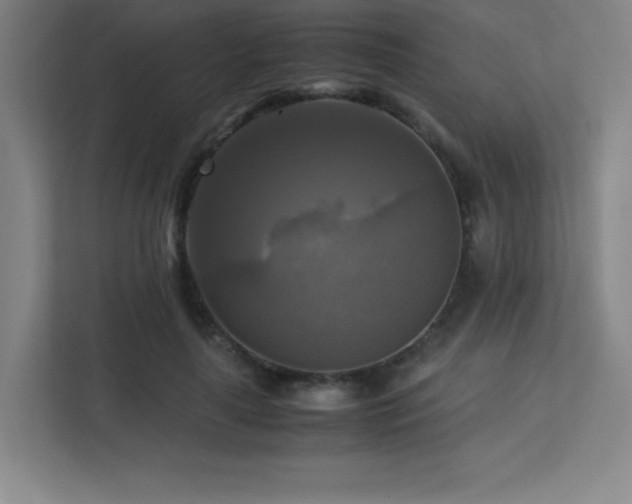 X0000113250643200909101429