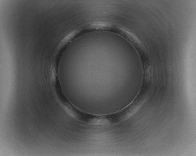 X0000113250644200909101429