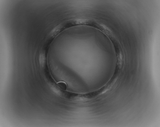 X0000113250648200909101429