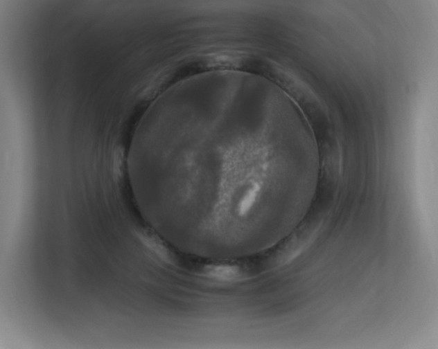 X0000113250649200909101429