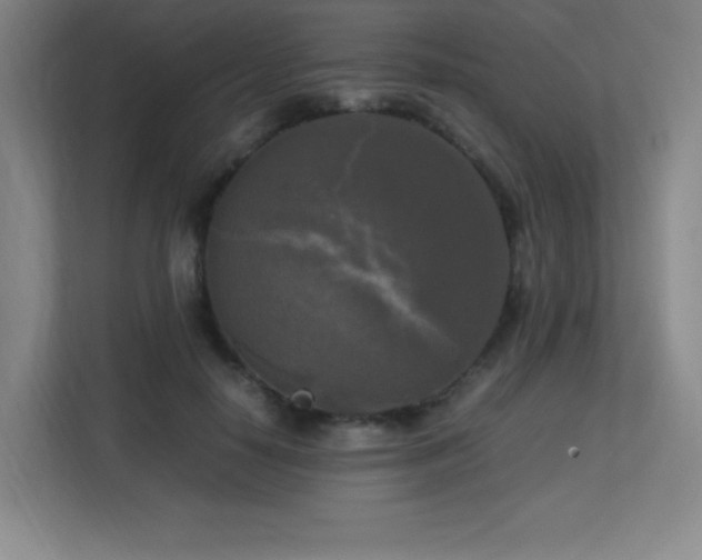 X0000113250650200909101429