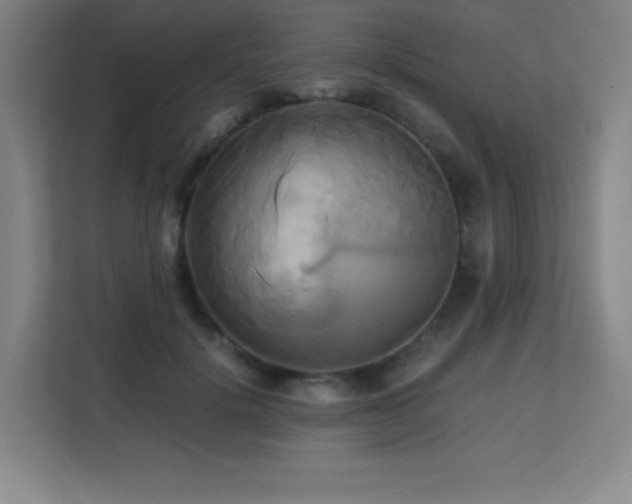 X0000113250652200909101429