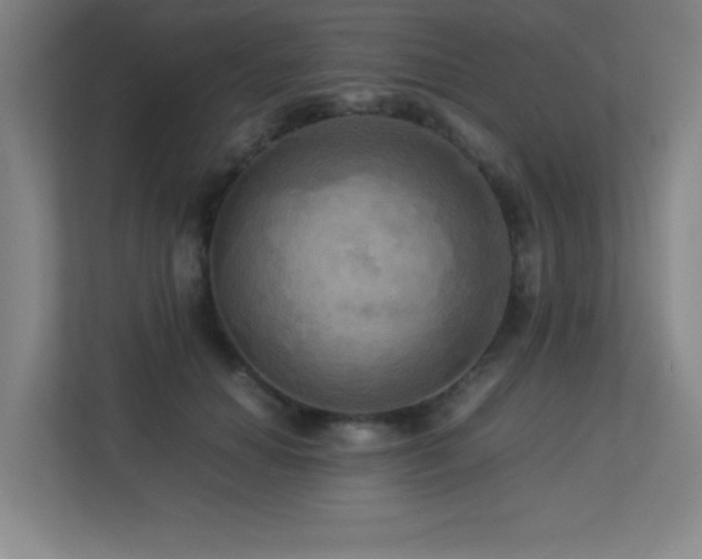 X0000113250654200909101429