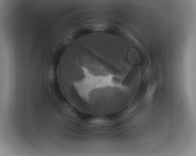 X0000113250655200909101429