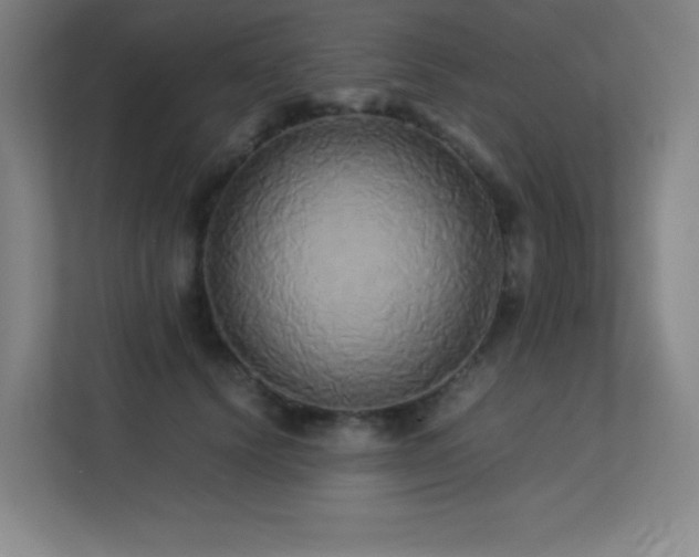 X0000113250656200909101429