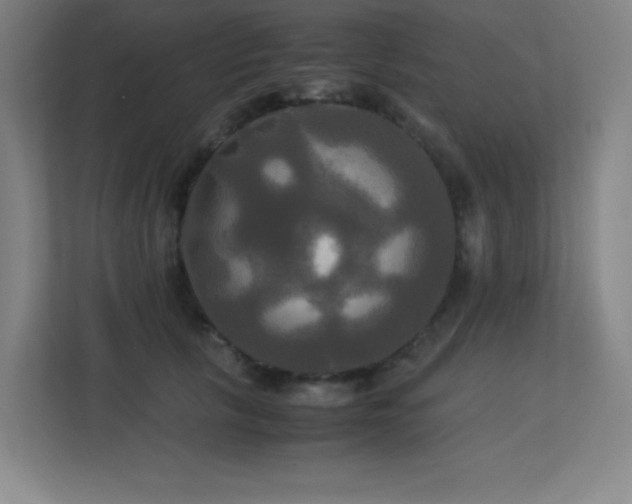 X0000113250657200909101429